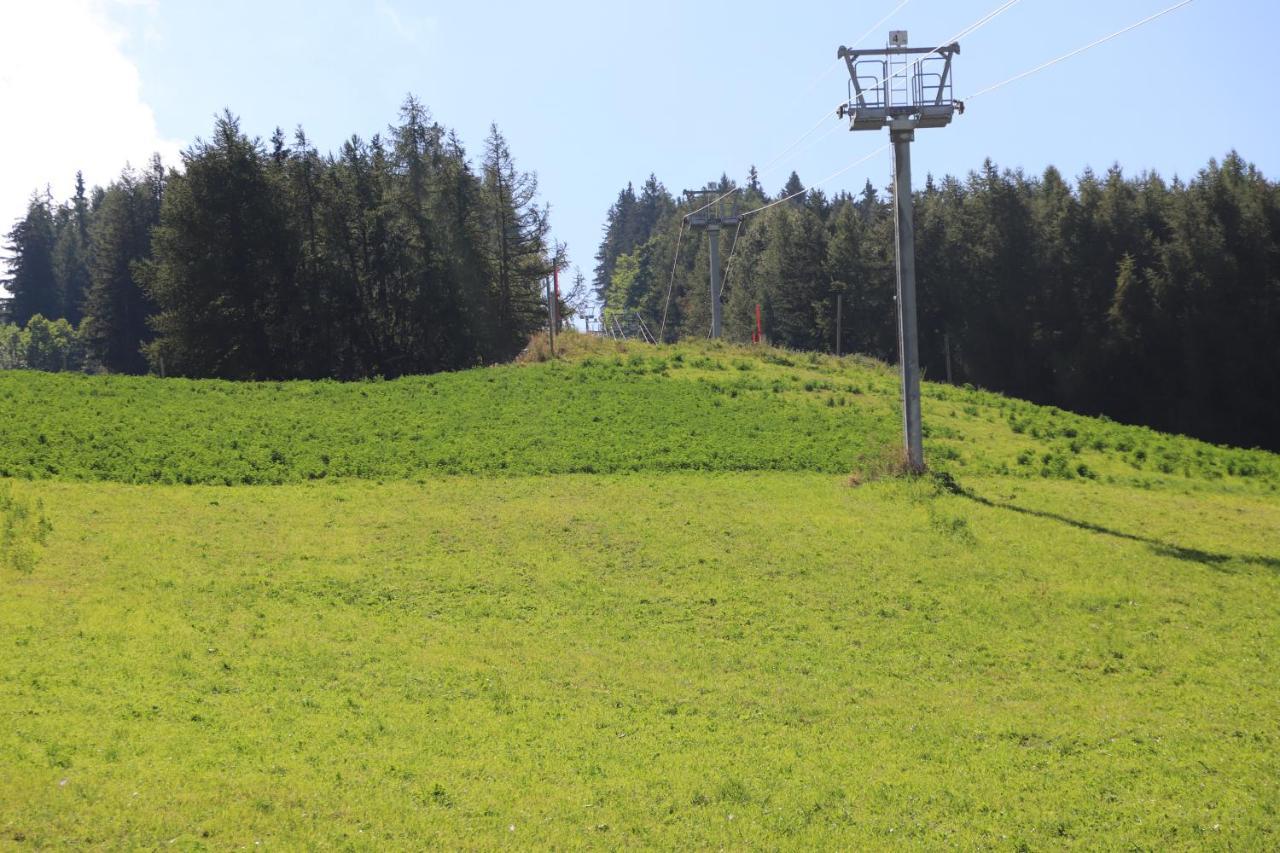 Hotel Sowell Family La Lauziere 3*